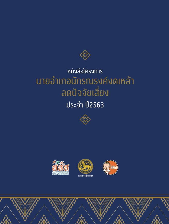 นายอำเภอ นักรณรงค์ ลดปัจจัยเสี่ยง ปี 2563